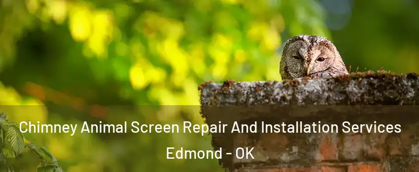  Chimney Animal Screen Repair And Installation Services Edmond - OK