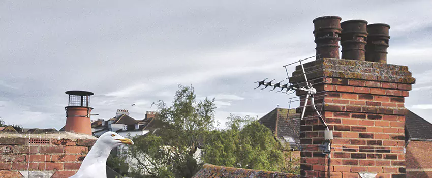 Chimney Cleaning And Restoration in Edmond, Oklahoma